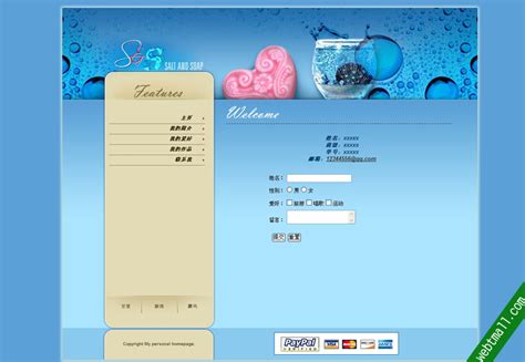 vc  2010网页制作